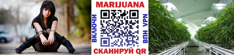 Конопля марихуана Александровск-Сахалинский